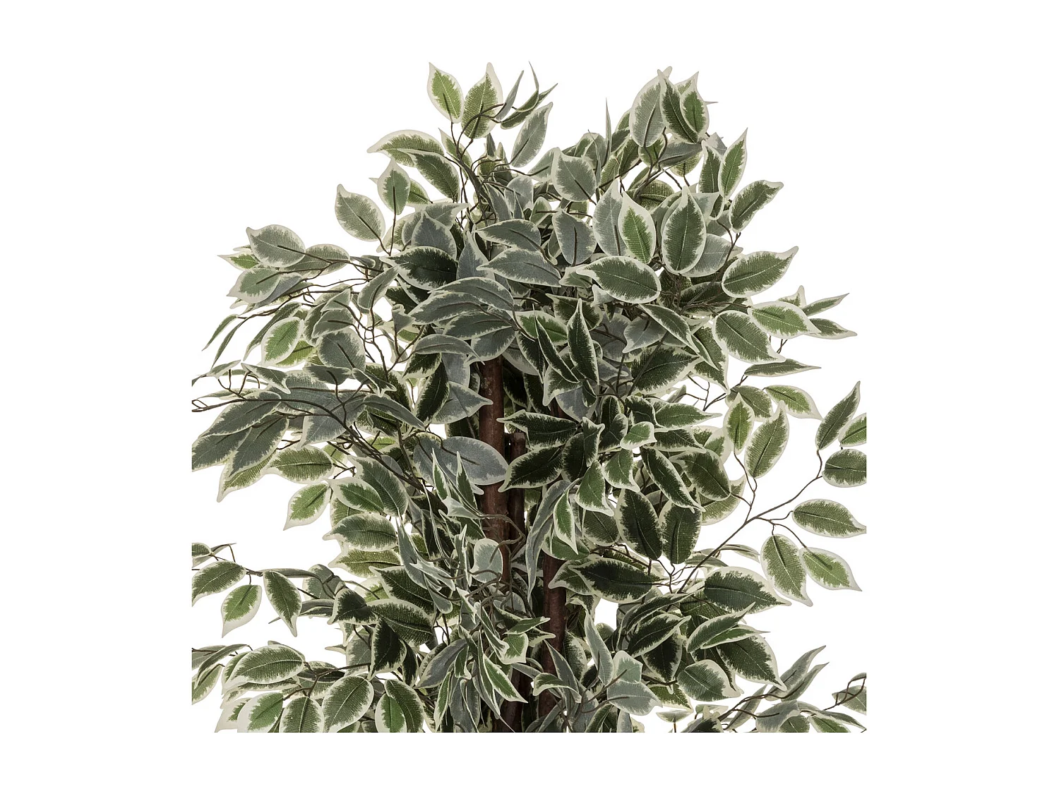 Plante artificielle Ficus en pot H 180 cm