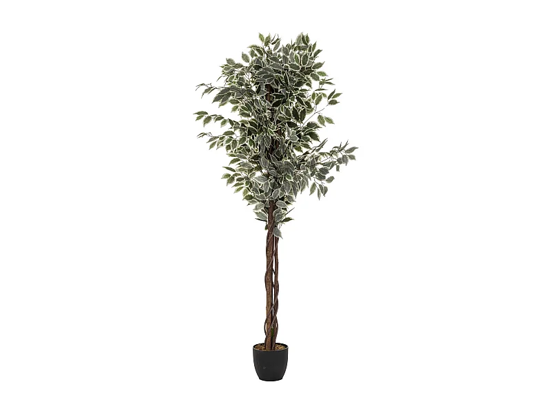 Plante artificielle Ficus en pot H 180 cm