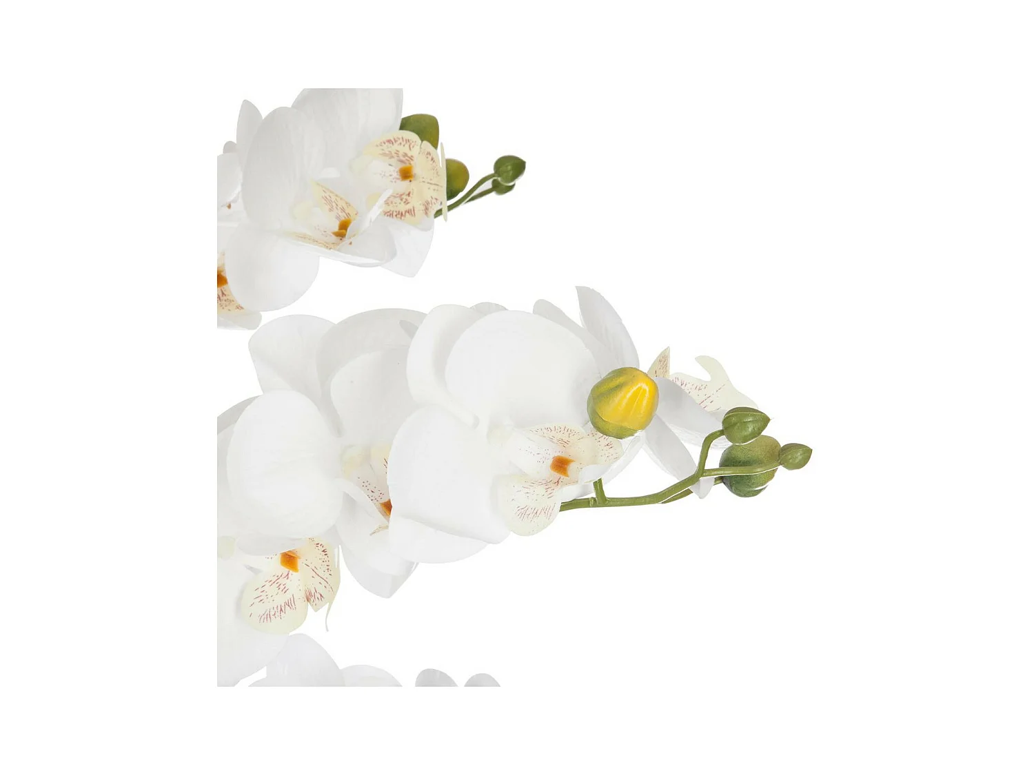 Plante artificielle Orchidée dans Pot en céramique blanche H 62 cm