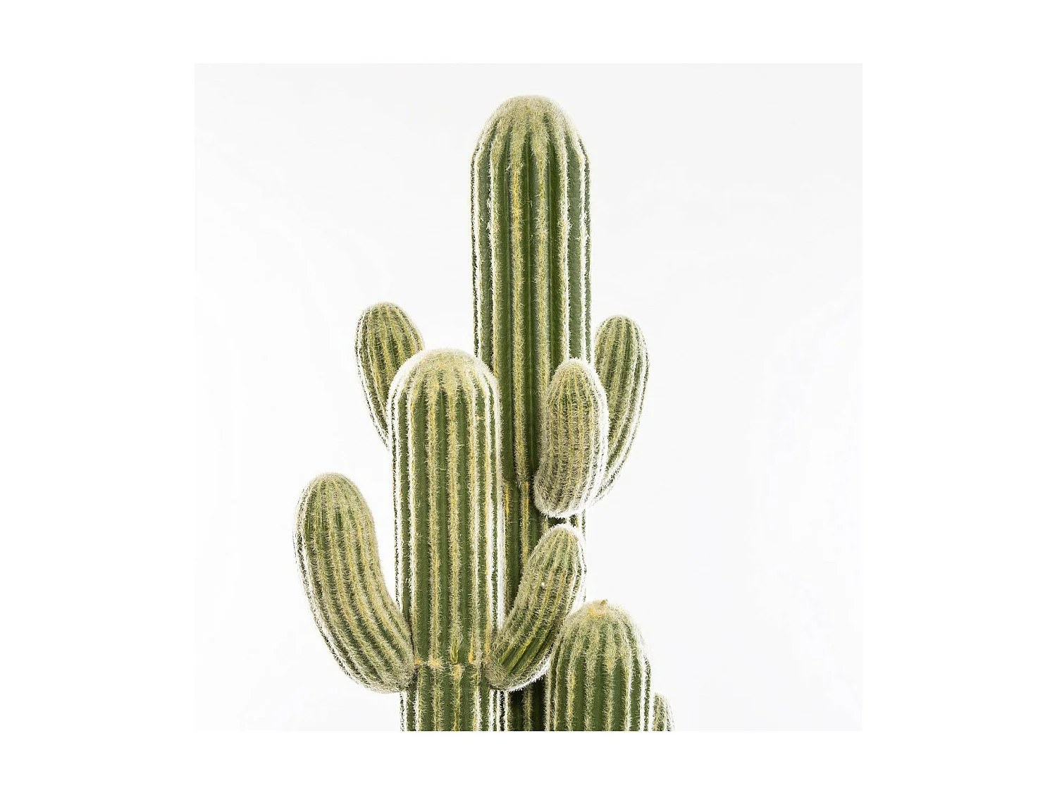 Plante artificielle  Cactus 3 Troncs dans son pot H 148 cm