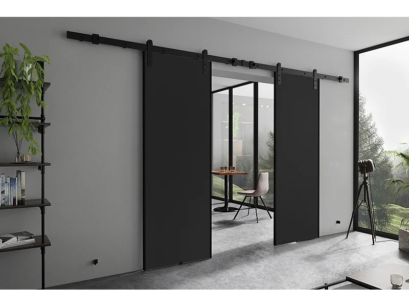 Emporius Porte coulissante 150 cm Ares Duo - porte suspendue coulissante, loft - Graphite