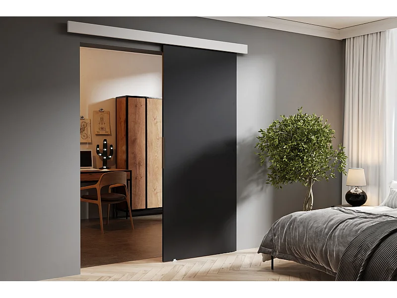 Emporius Porte coulissante 70 cm Doris - portes coulissantes murales intérieures - Graphite