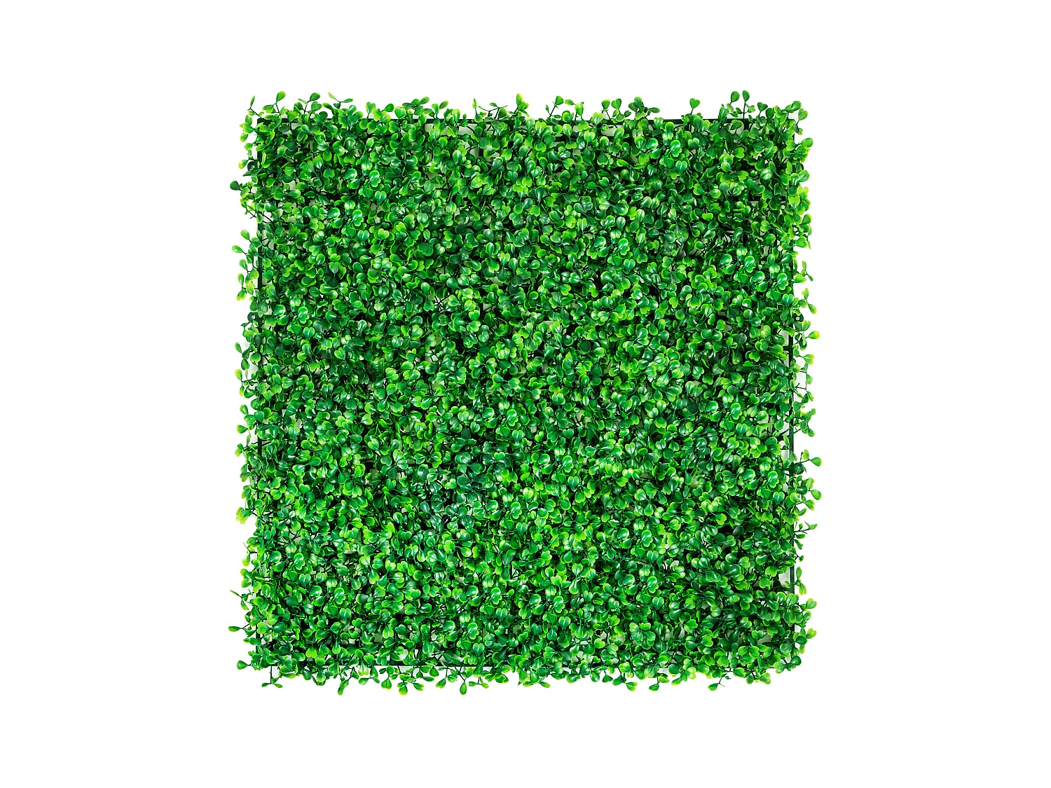 Parziali di Buxo Artificiale SucceBuy 24 Pezzi | Muro di Siepe UV 25.4 x 25.4 cm | Decoro di Classe Verde