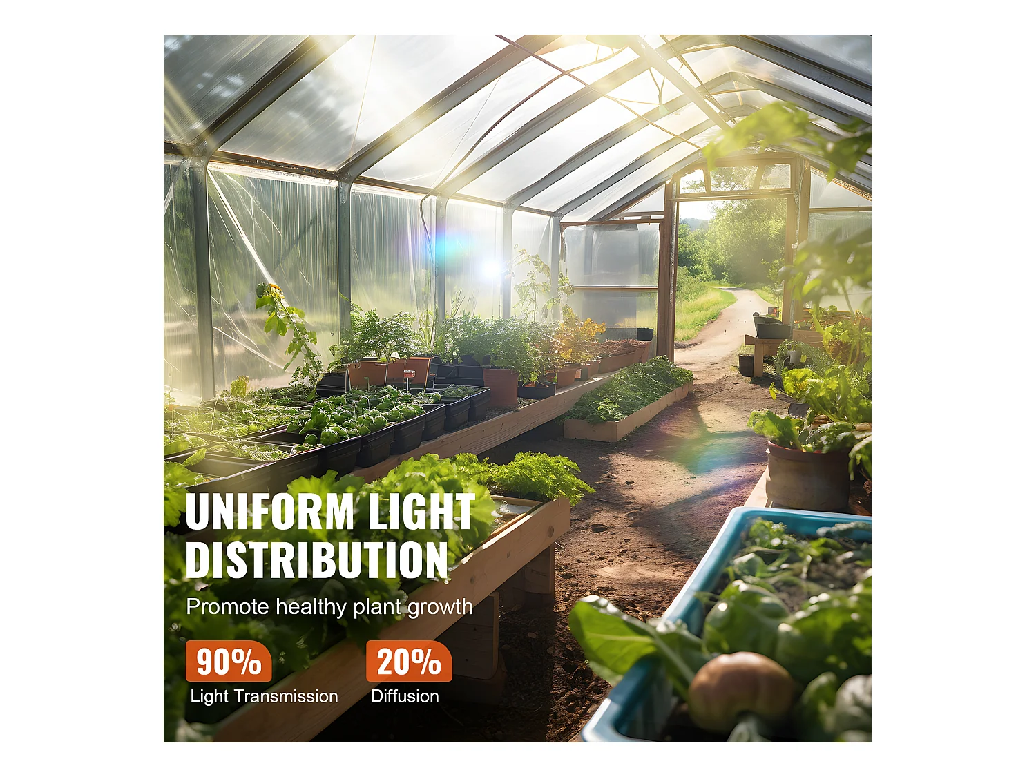 Film de Serre SucceBuy, Bâche en Plastique pour Serre 7.62 x 7.62 m 0.15 mm, Film Polyéthylène Transparent