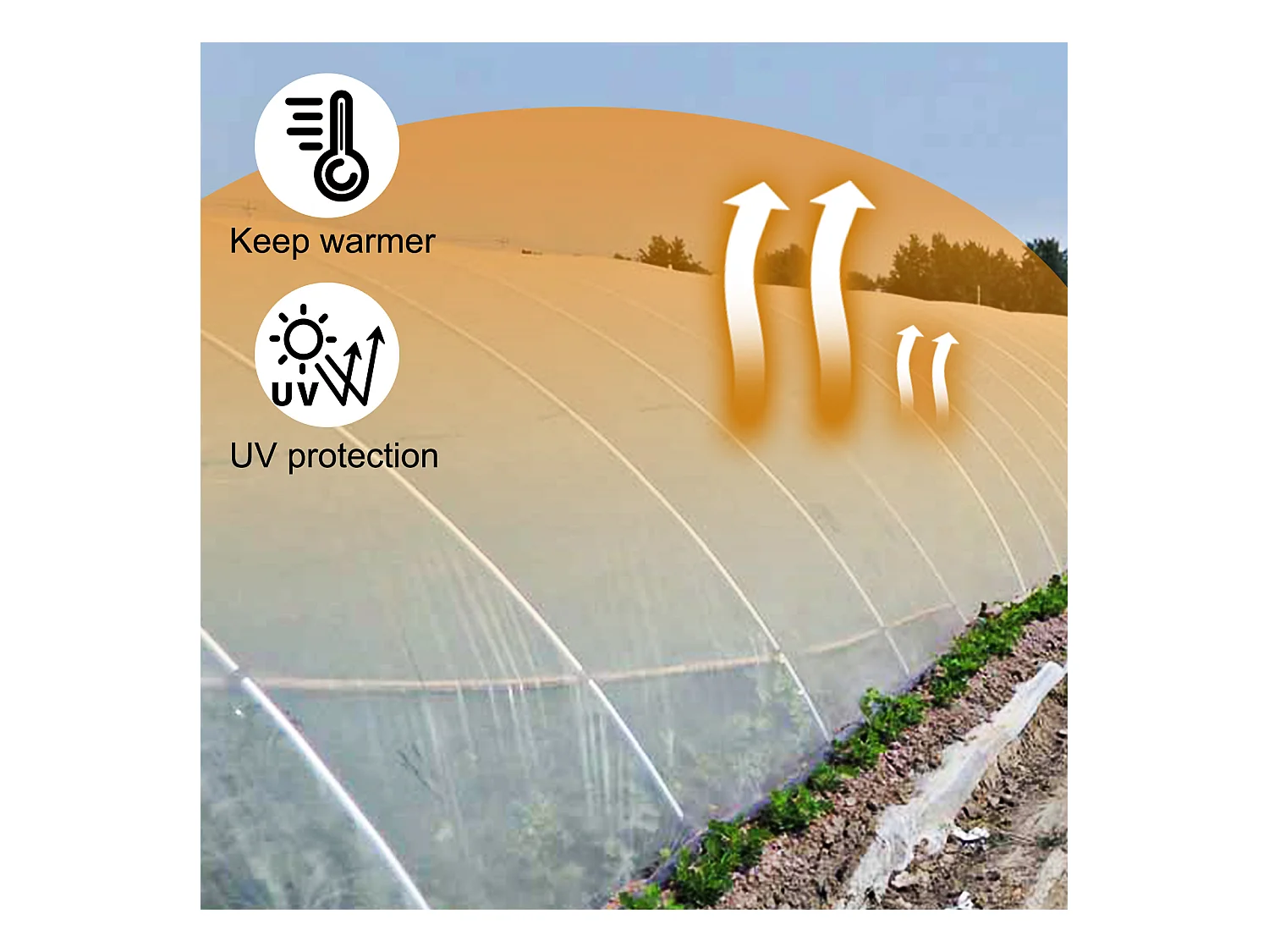 Film de Serre SucceBuy, 2.4x7.62 m, Plastique Transparent Résistant aux UV, Protectrice pour les Projets Industriels, Résidentiels et Agricoles