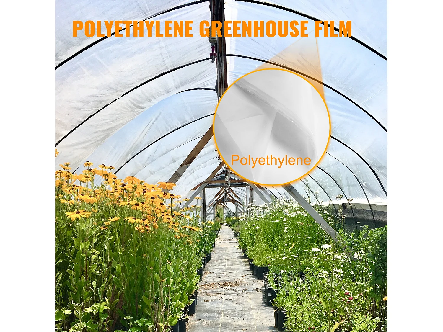 Film de Serre SucceBuy, 2.4x7.62 m, Plastique Transparent Résistant aux UV, Protectrice pour les Projets Industriels, Résidentiels et Agricoles