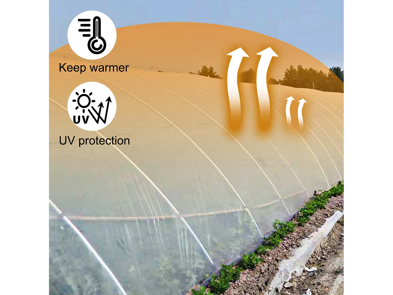 Film de Serre SucceBuy, 3.66x7.62 m, Film de Serre en Polyéthylène, Plastique Résistant aux UV, pour Résidentiels et Agricoles