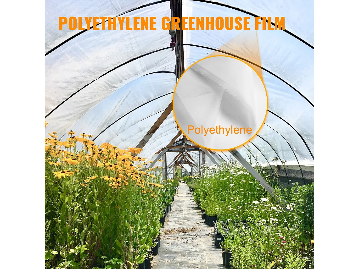 Film de Serre SucceBuy, 6 x 8.5 m, Plastique Polyéthylène pour Utilisation en Serre, Transparent, Polyéthylène Résistant aux UV