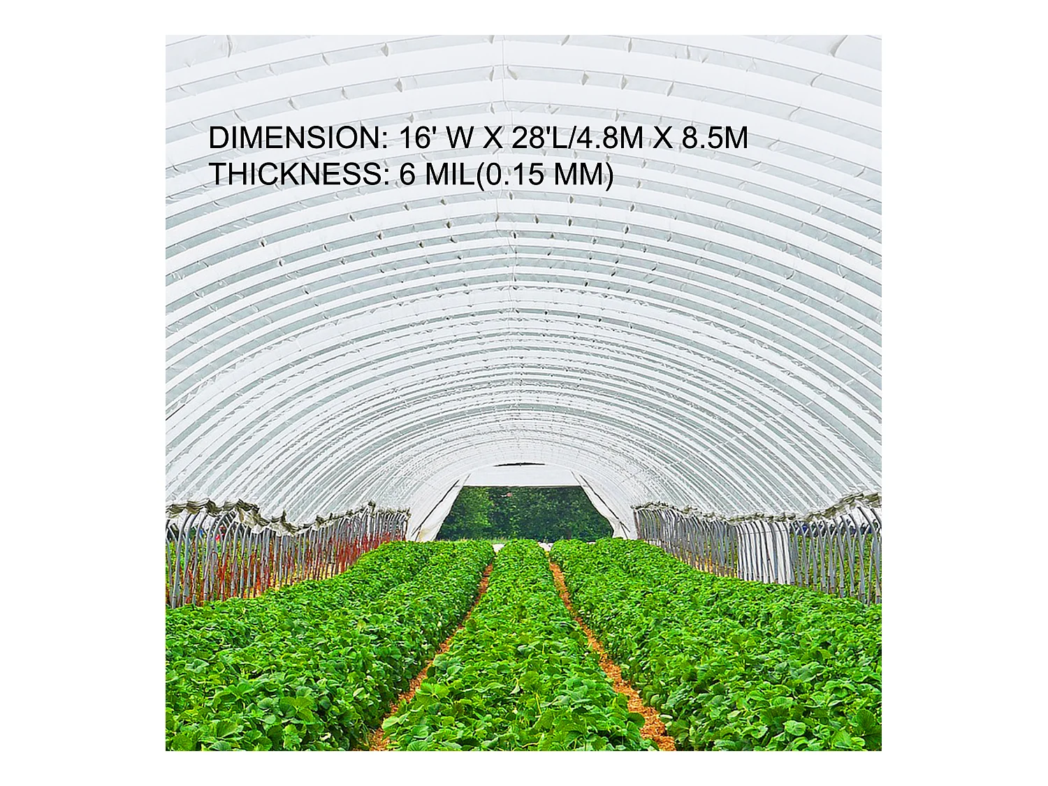 Film de Serre SucceBuy 4.9x8.5 m, Couverture en Plastique Transparent en Polyéthylène de 0.15 mm