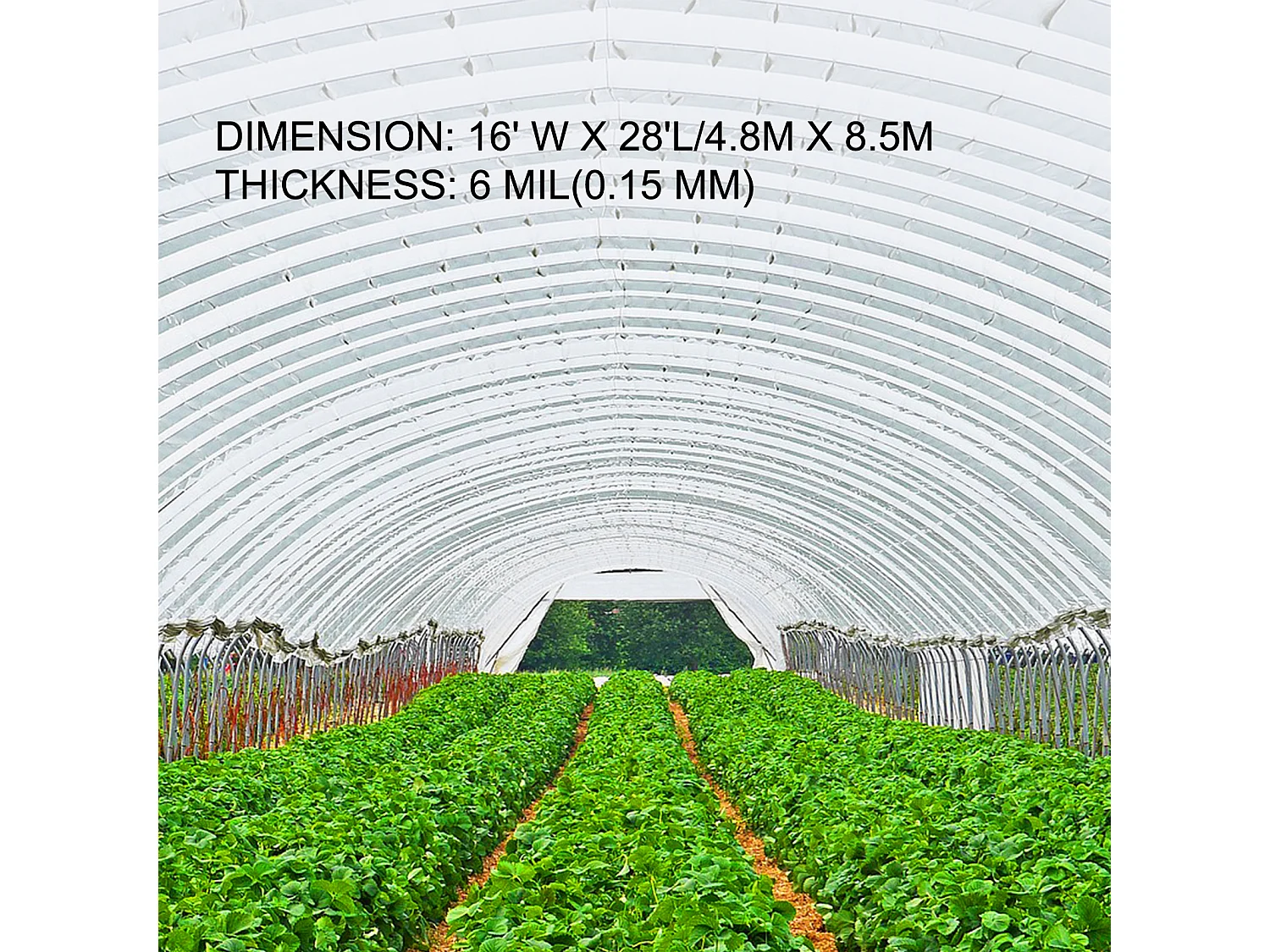 Film de Serre SucceBuy 4.9x8.5 m, Couverture en Plastique Transparent en Polyéthylène de 0.15 mm