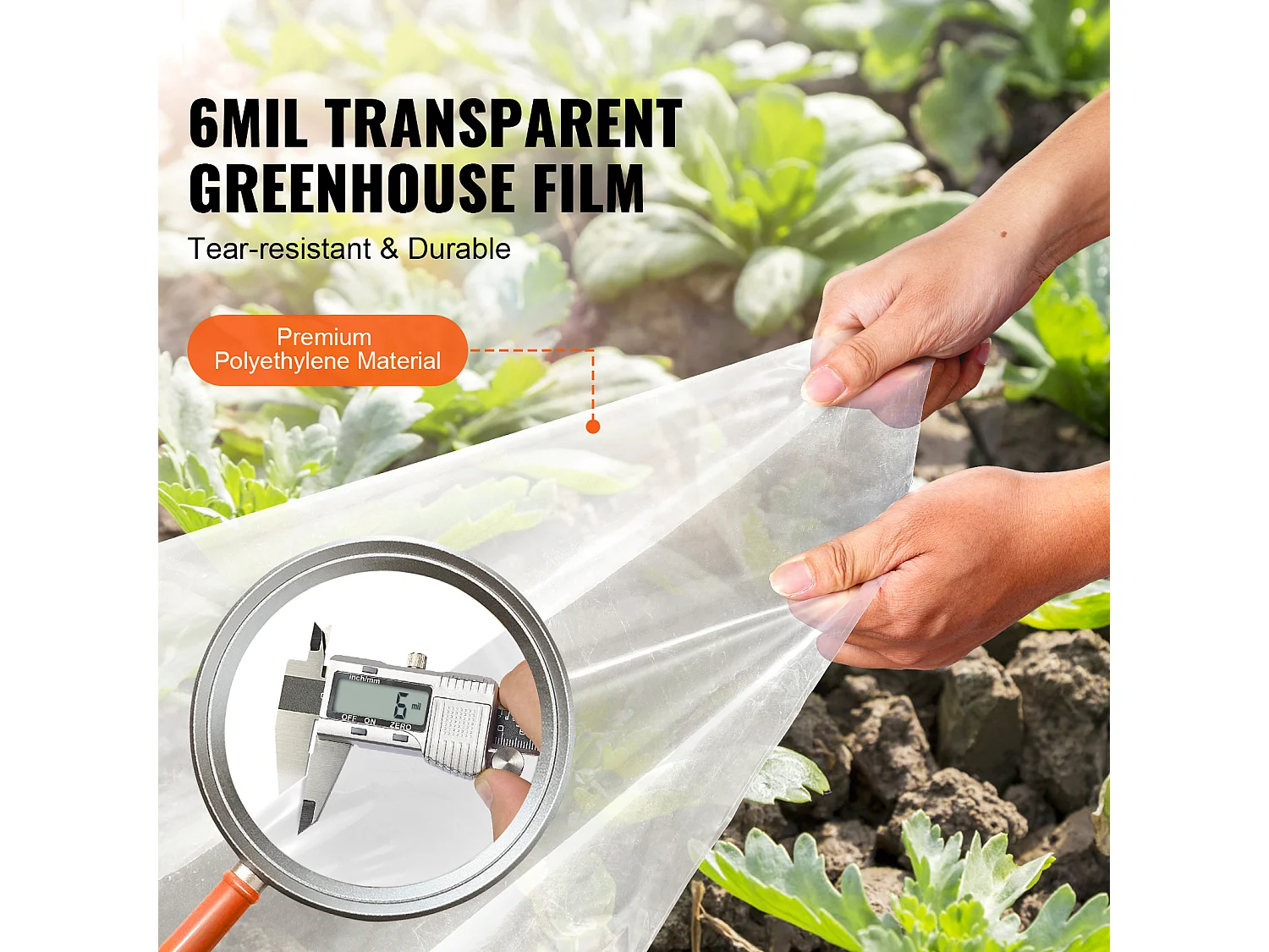 Film de Serre SucceBuy, Feuille de Plastique pour Serre, 3.66 x 15.24 m, 0.15 mm, Transparent, Idéal pour le Jardinage