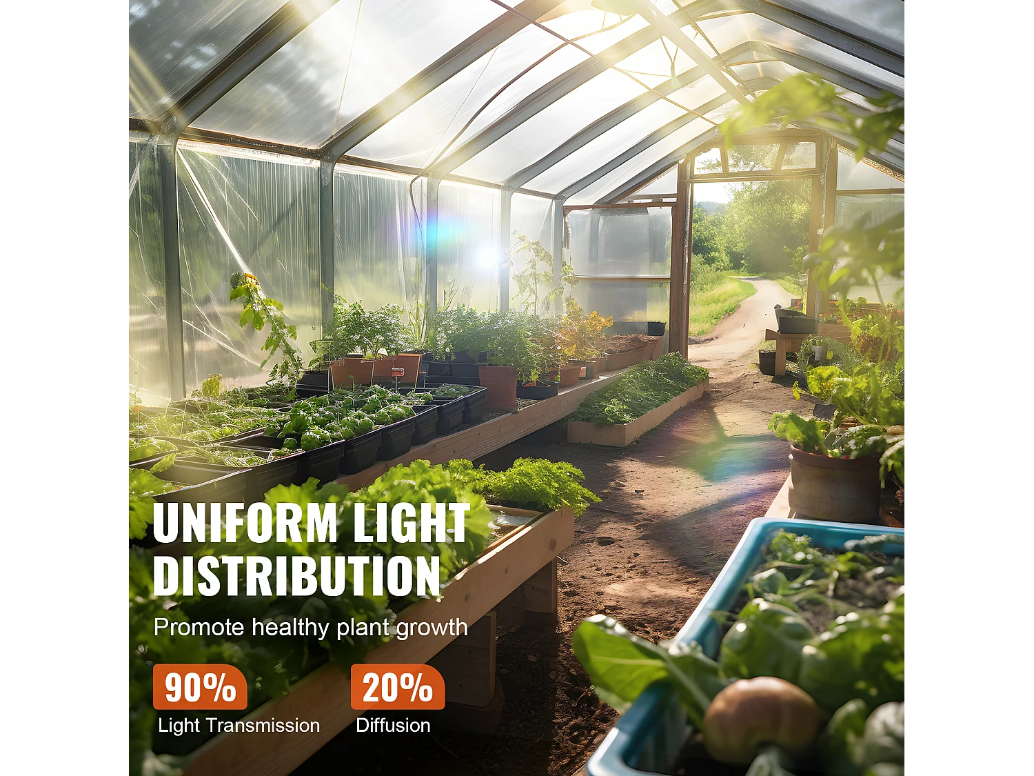 Film de Serre SucceBuy, Feuille de Plastique pour Serre, 3.66 x 15.24 m, 0.15 mm, Transparent, Idéal pour le Jardinage