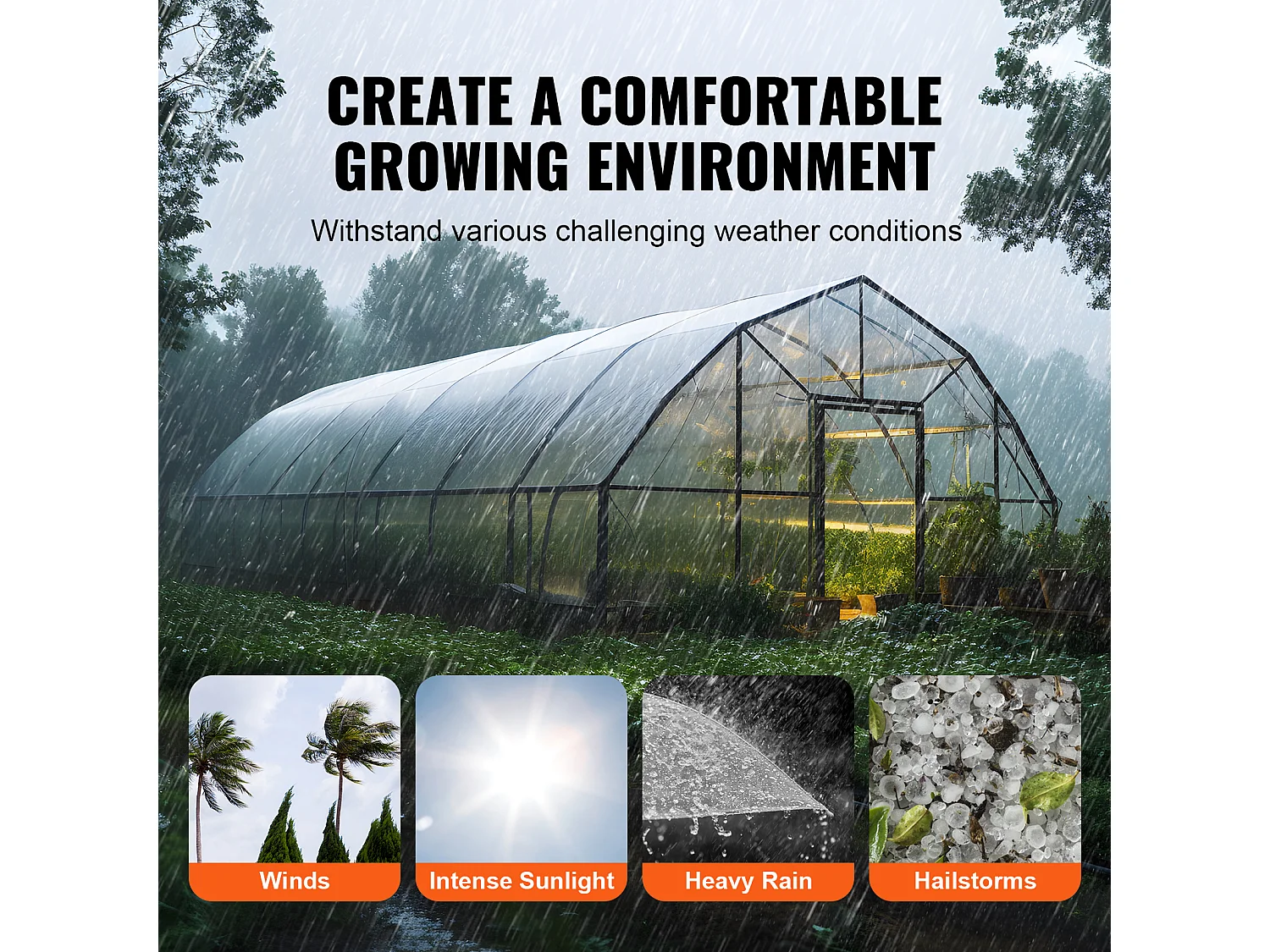 Film de Serre SucceBuy, Feuille de Plastique pour Serre, 3.66 x 15.24 m, 0.15 mm, Transparent, Idéal pour le Jardinage