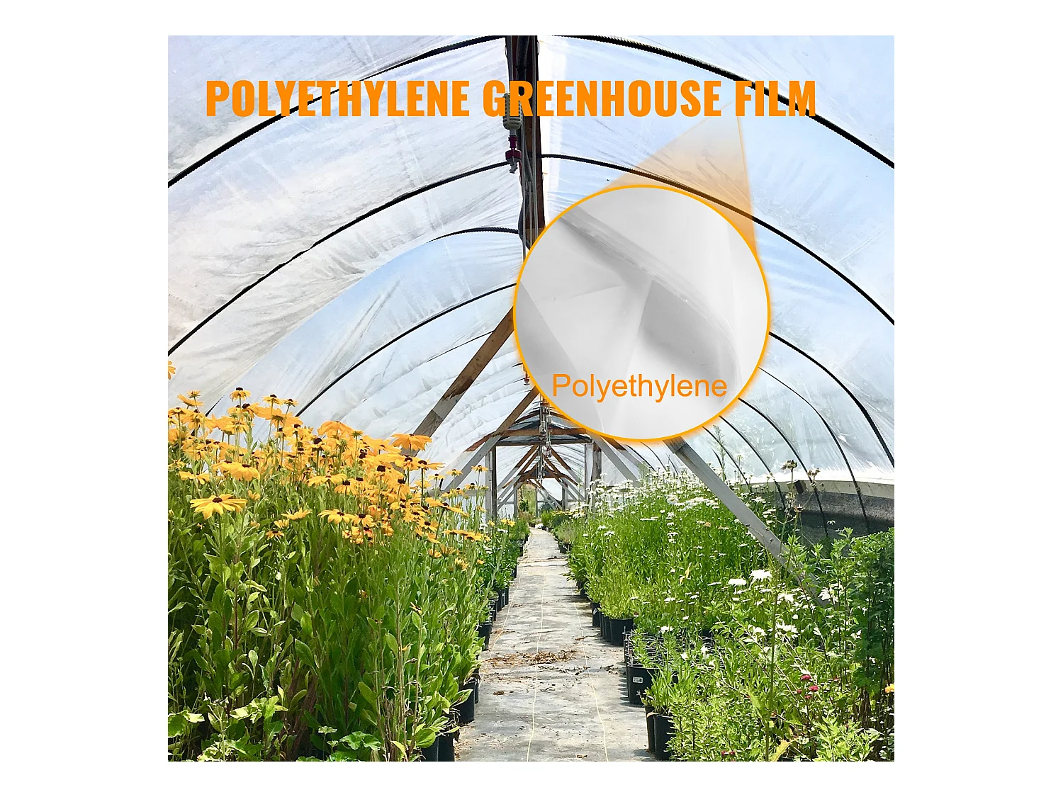 Film de Serre SucceBuy, 3x7.62 m, Polyéthylène Résistant aux UV, Plastique Transparent pour le Réchauffement, Résistance Supérieure