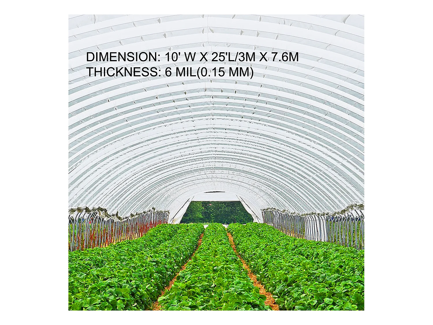 Film de Serre SucceBuy, 3x7.62 m, Polyéthylène Résistant aux UV, Plastique Transparent pour le Réchauffement, Résistance Supérieure