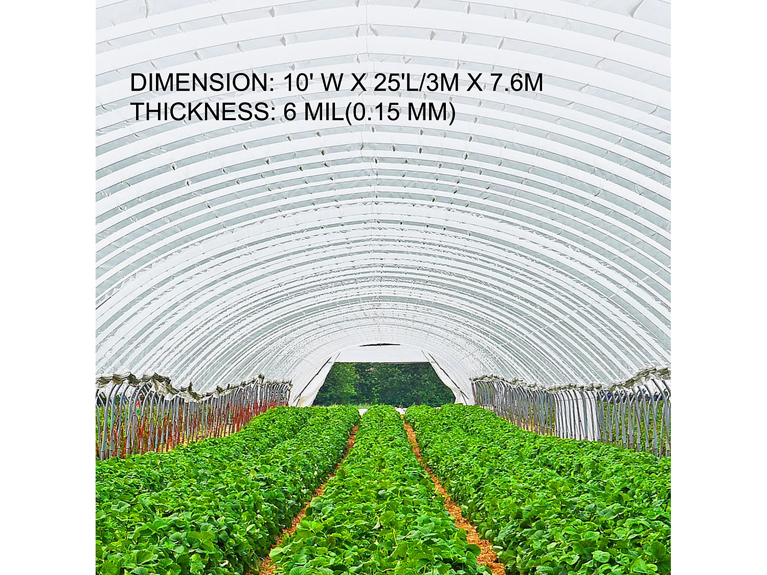 Film de Serre SucceBuy, 3x7.62 m, Polyéthylène Résistant aux UV, Plastique Transparent pour le Réchauffement, Résistance Supérieure