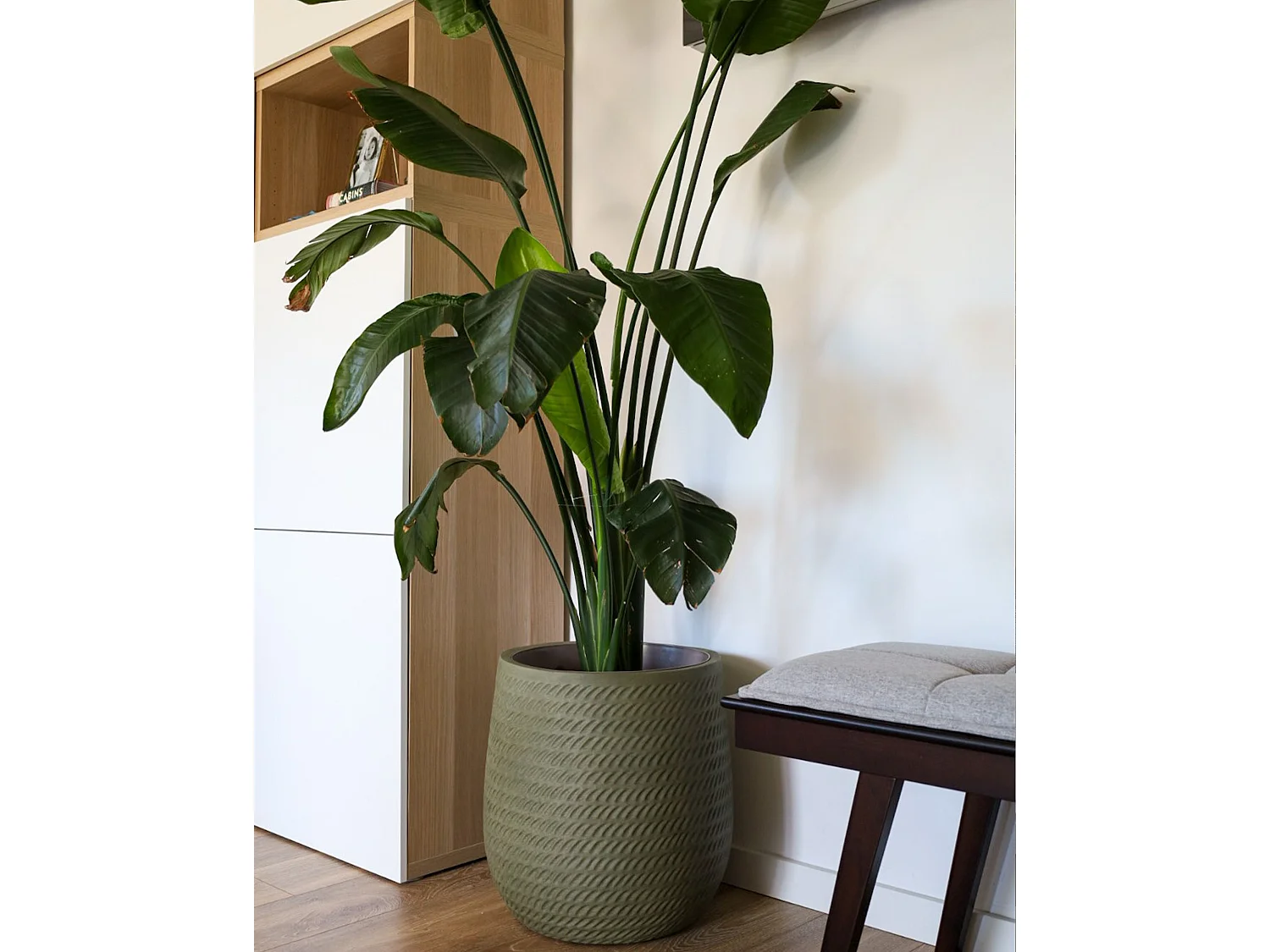 Blumenkübel LIVADIA Stein 39 cm Olivgrün
