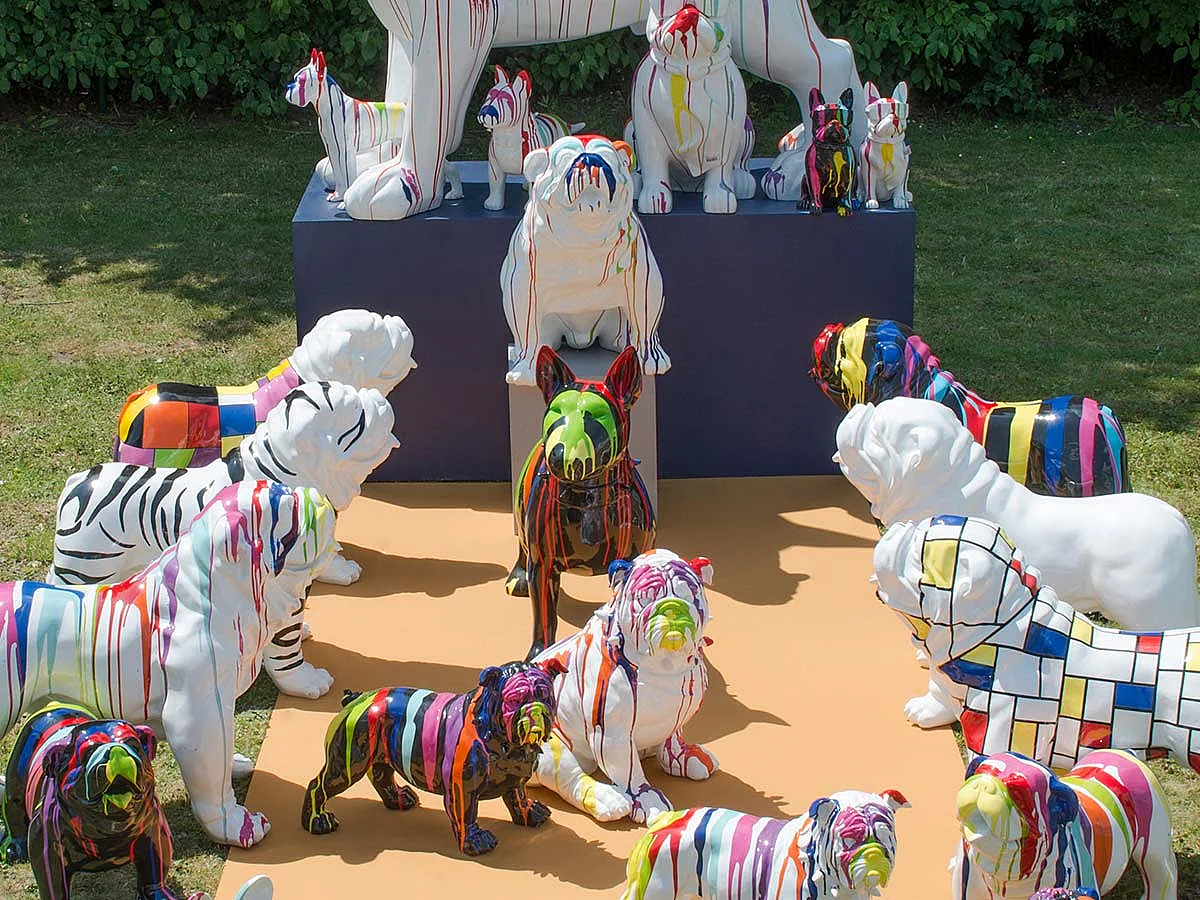 Bulldog USA Assis 85 cm - Amadeus