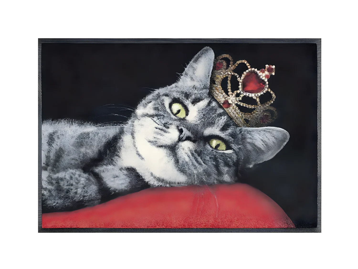 Paillasson 50x75 tissé motif animaux ROYAL CAT rouge