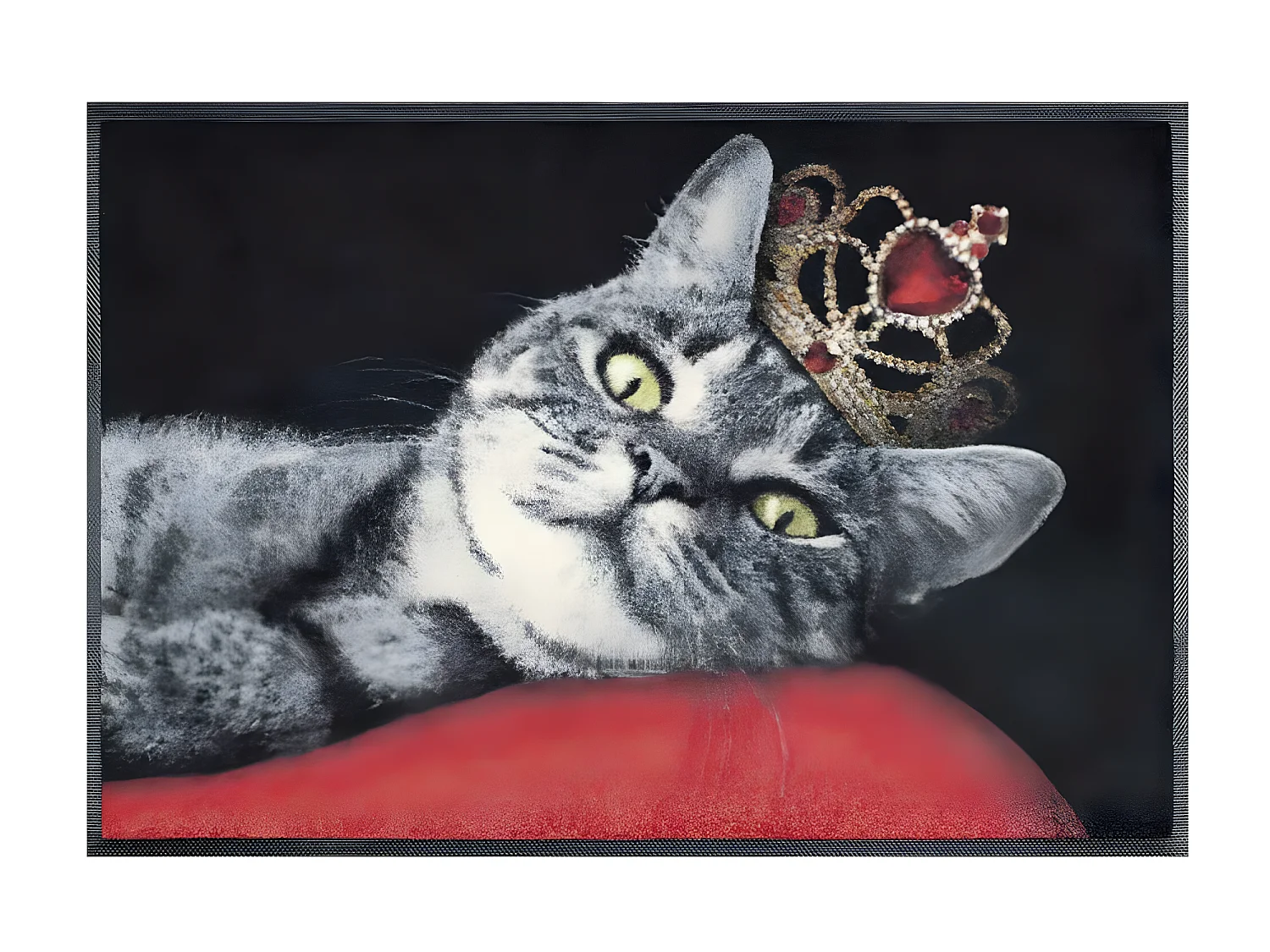 Paillasson 50x75 tissé motif animaux ROYAL CAT rouge
