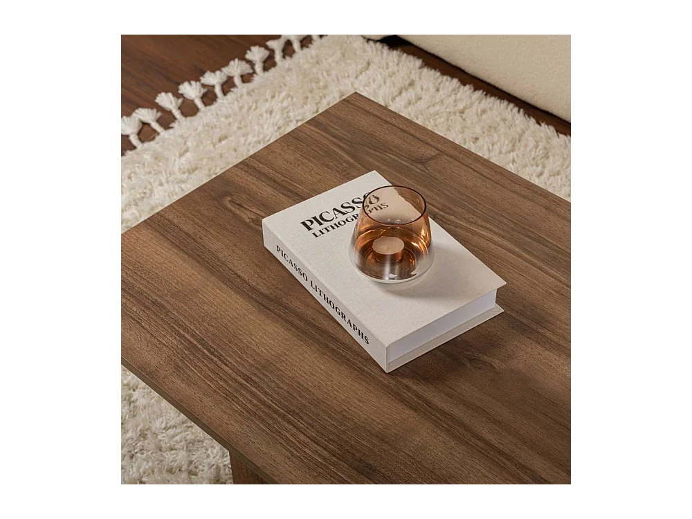 Table basse en aggloméré Sabin