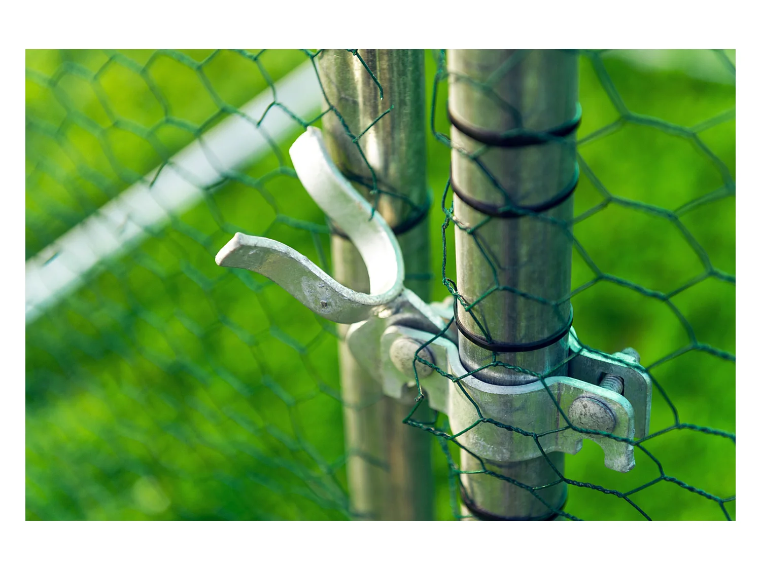 Gabbia per animali da esterno - Recinto per Polli 3 x 2m x 2m H - 6 mq