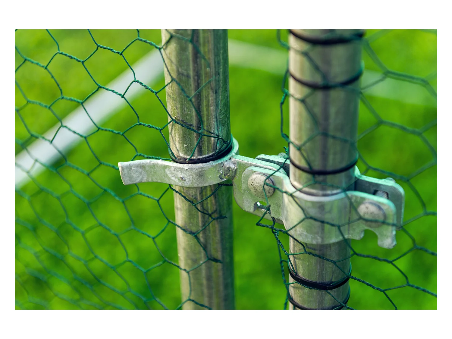 Gabbia per animali da esterno - Recinto per Polli 3 x 2m x 2m H - 6 mq