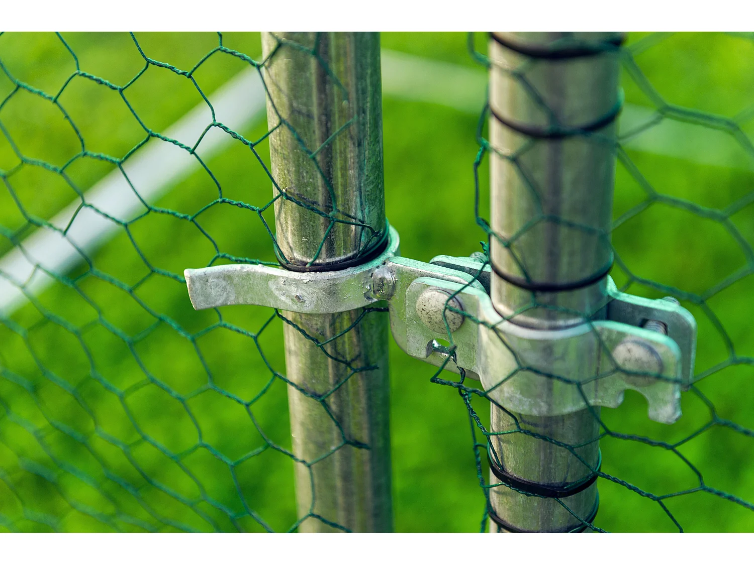 Gabbia per animali da esterno - Recinto per Polli 3 x 2m x 2m H - 6 mq