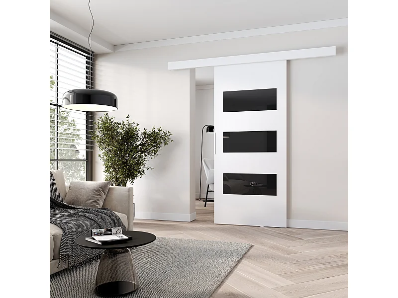 MINIO go for it, porte coulissante CLEAN E 106 cm portes de chambre | Blanc