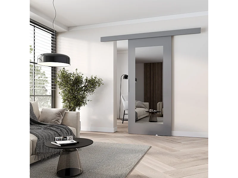 MINIO go for it, porte coulissante CLEAN I 86 cm, avec miroir, portes de chambre | Gris