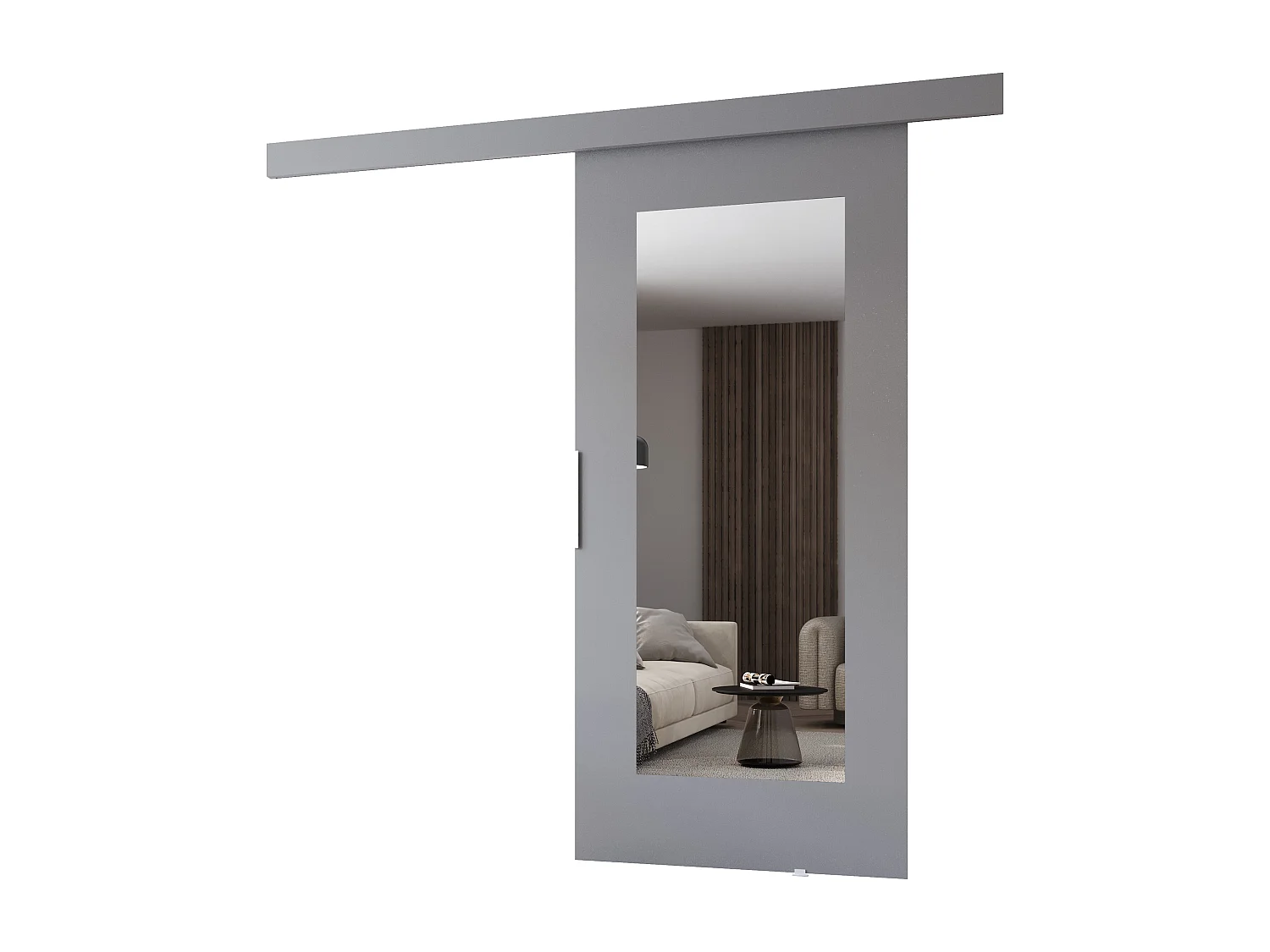 MINIO go for it, porte coulissante CLEAN I 76 cm, avec miroir, portes de chambre | Gris