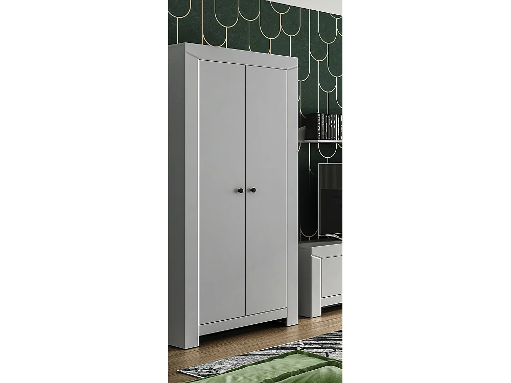 KLEIDERSCHRANK Terni silbergrau 91,5 / 51,5 / 200,5cm