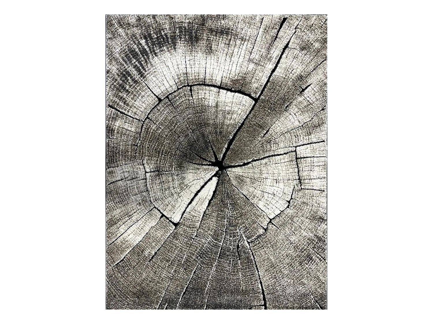Tapis Marla Design Moderne Arbre, Nature, 160x230 cm