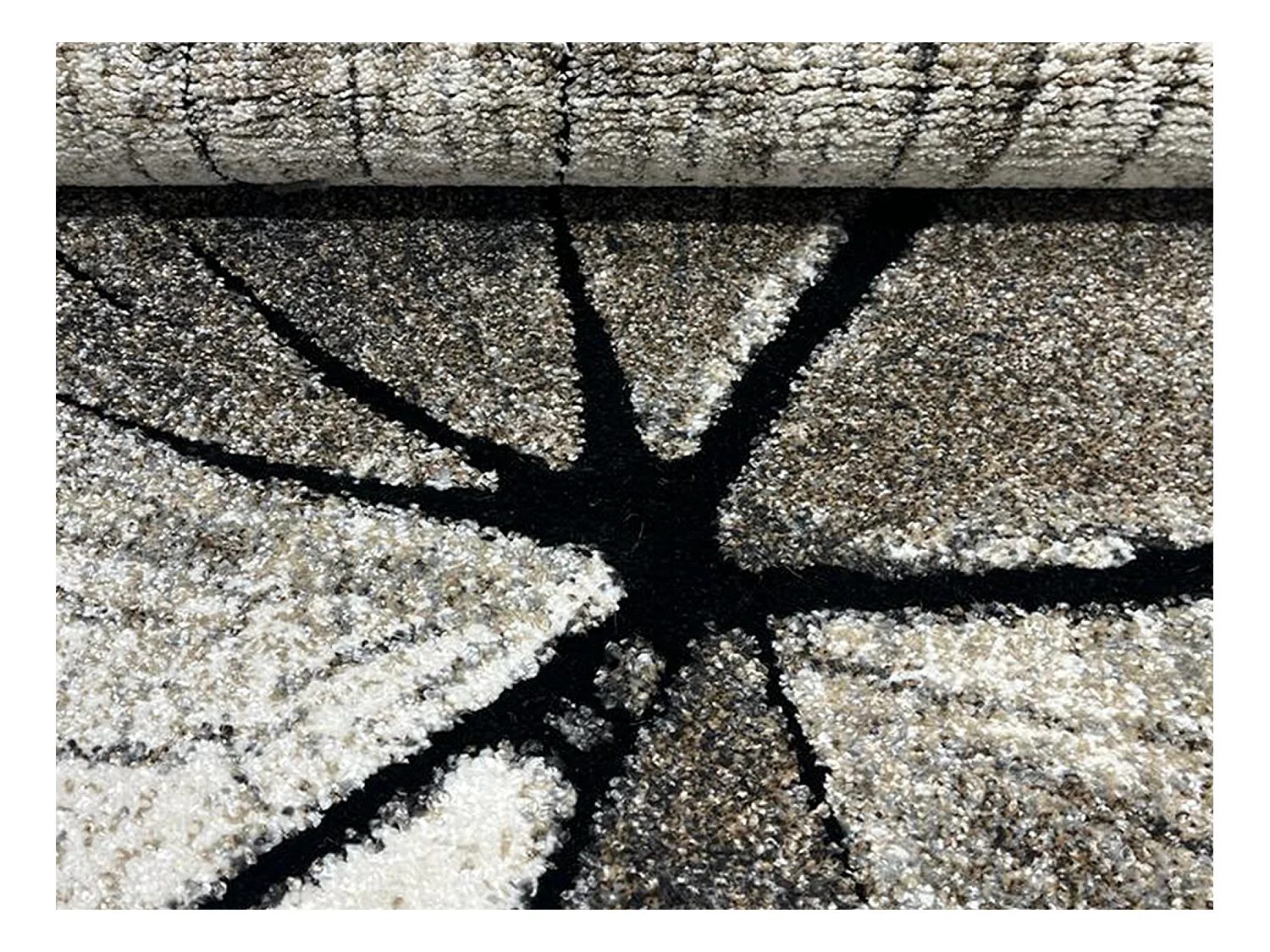 Tapis Marla Design Moderne Arbre, Nature, 200x290 cm