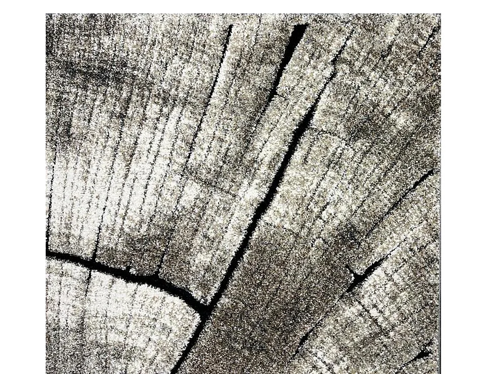 Tapis Marla Design Moderne Arbre, Nature, 200x290 cm