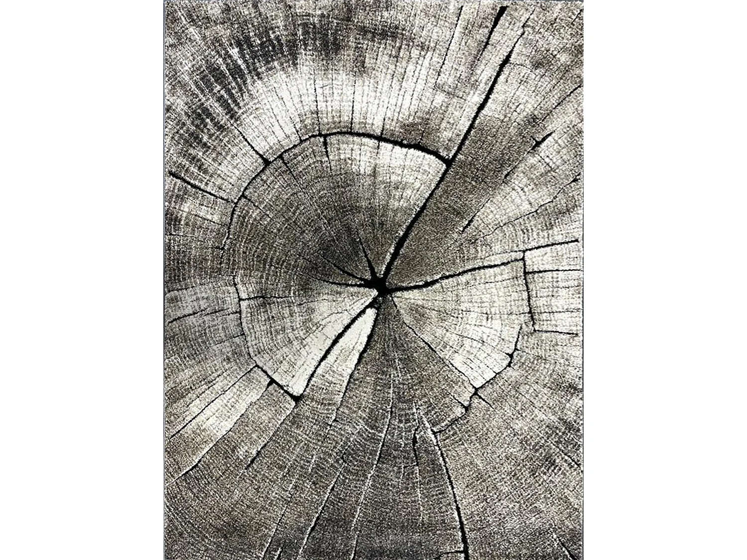 Tapis Marla Design Moderne Arbre, Nature, 120x170 cm