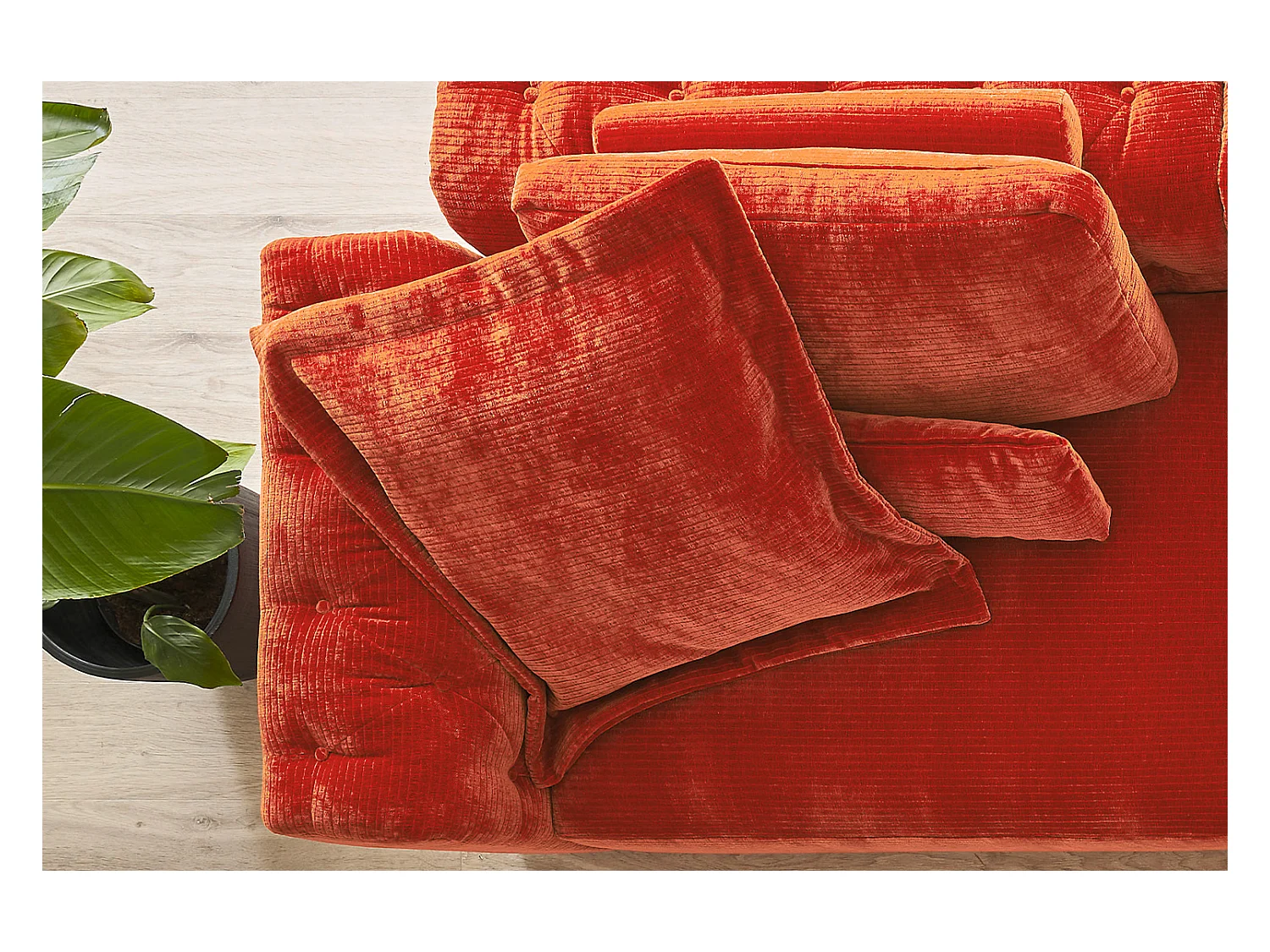 Coussin Flutter - Rouge Velours côtelé - SEPHI