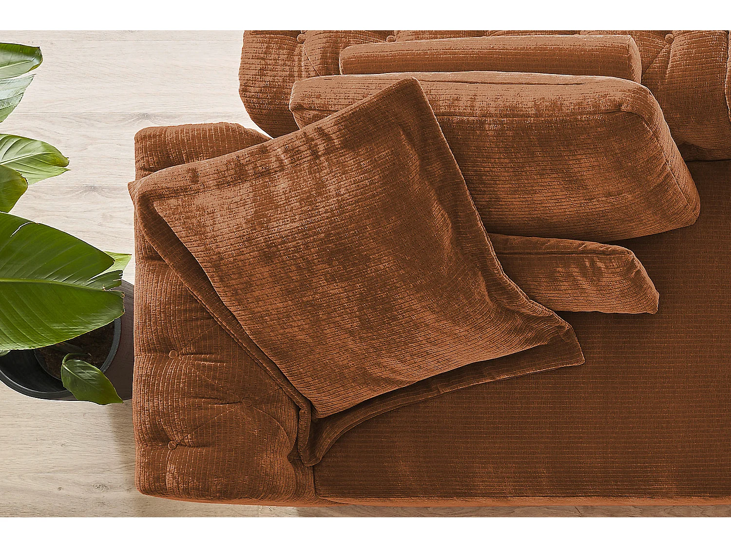 Grand - brun rougeâtre Velours côtelé - SEPHI