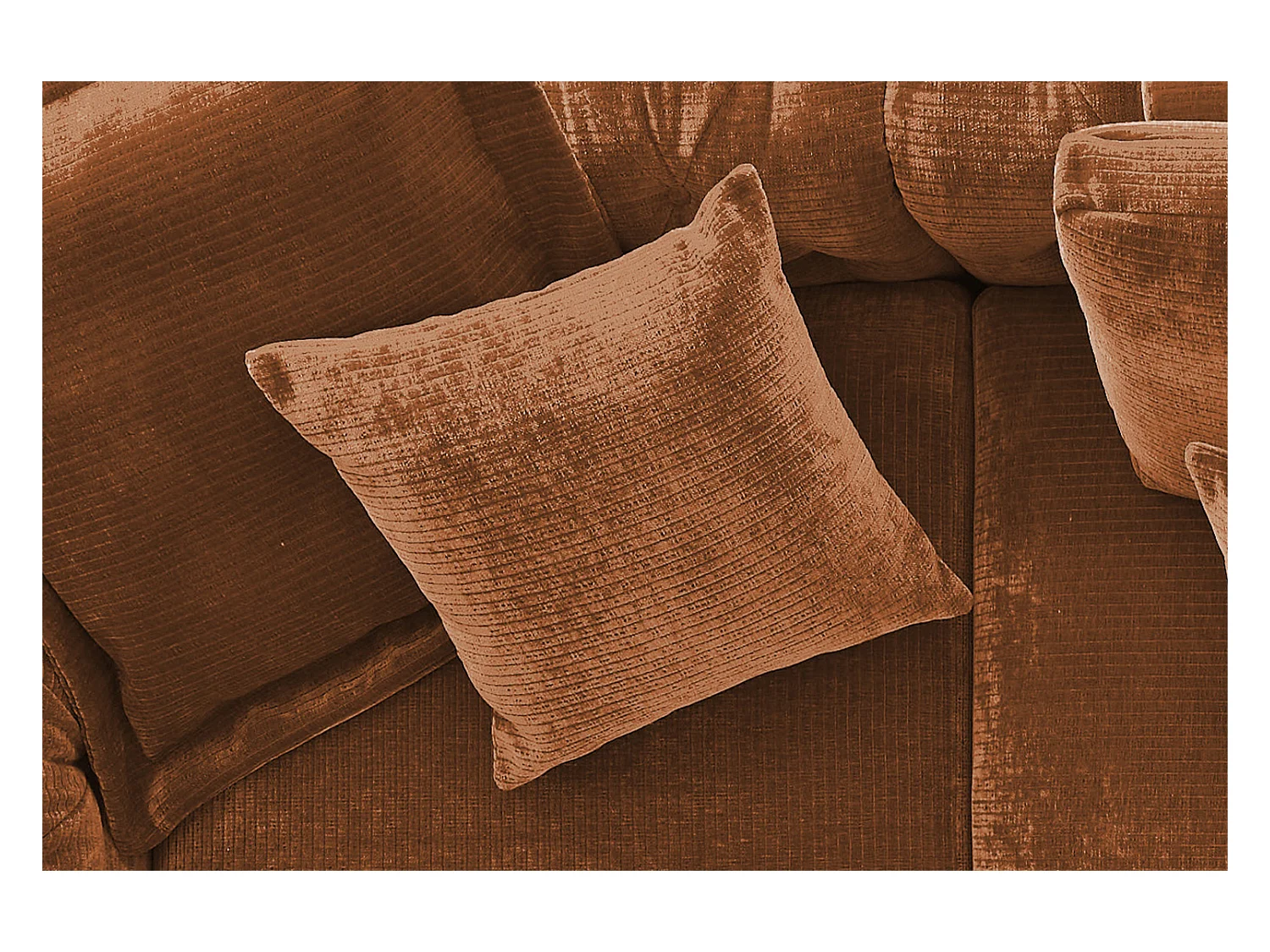 Petit - brun rougeâtre Velours côtelé - SEPHI