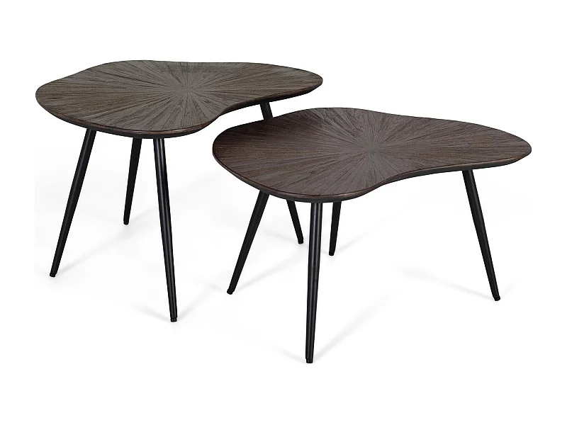 Ensemble de deux tables d'appoint gigognes au design irrégulier