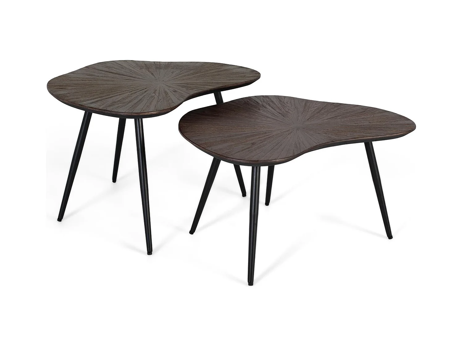 Ensemble de deux tables d'appoint gigognes au design irrégulier
