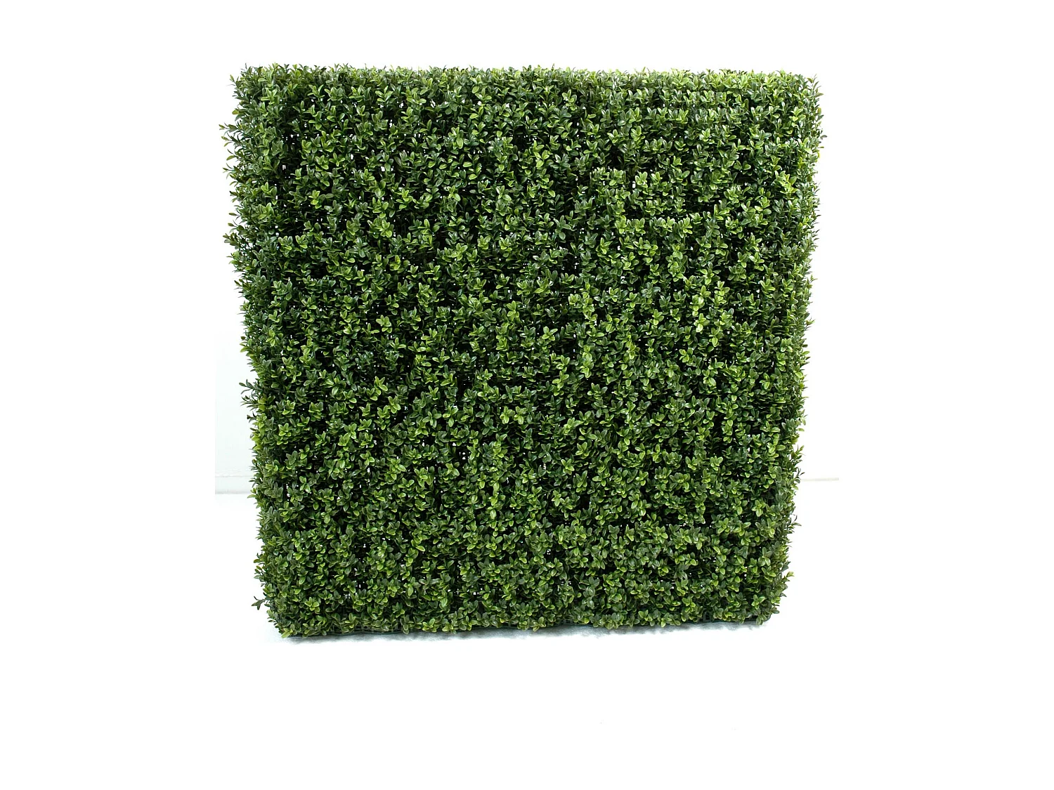 Plante artificielle haute gamme Spécial extérieur/Buis artificiel Haie de structure en métal coloris vert - Dim : 185 x 35 x 100 cm