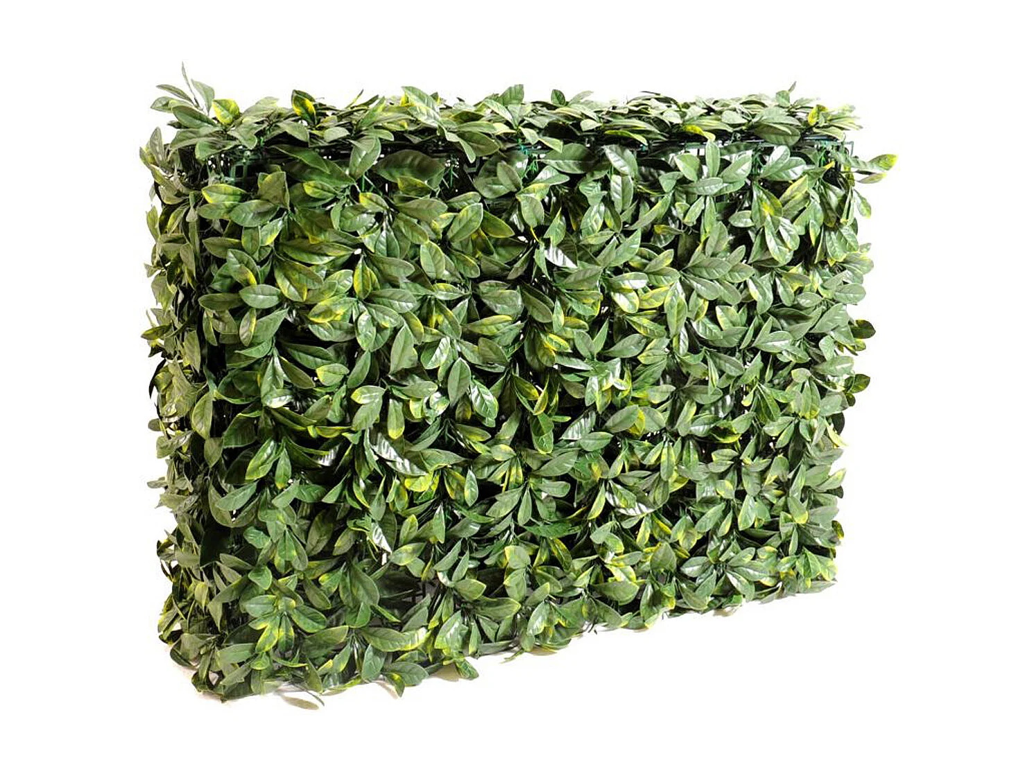 Plante artificielle haute gamme Spécial extérieur / Cornouiller artificiel HAIE - Dim : 75 x 32 cm