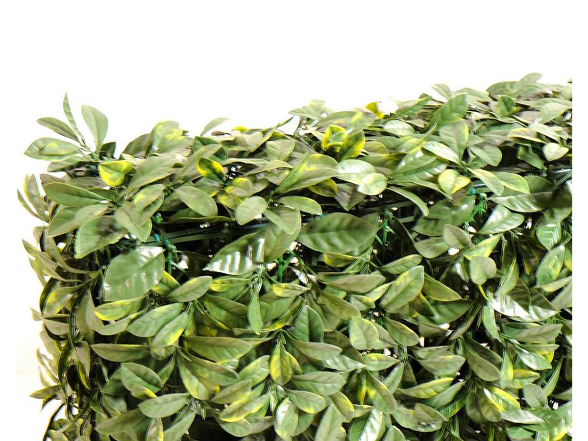 Plante artificielle haute gamme Spécial extérieur / Cornouiller artificiel HAIE - Dim : 75 x 32 cm