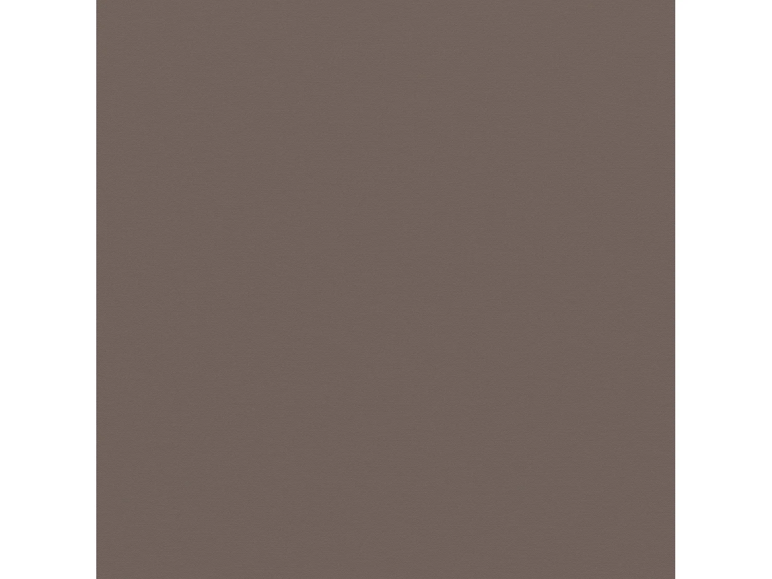 Wasabi - Tenda Esterna Avvolgibile 3x2,5 Taupe - Telo Poliestere