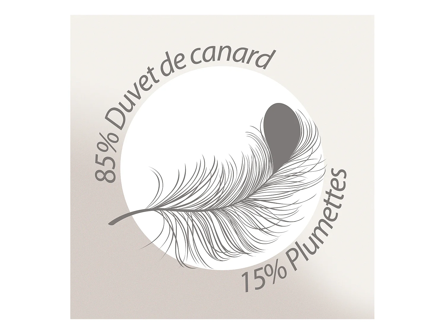 Couette 260x240 cm hiver FINLANDE garnissage naturel duvet de canard 300 g/m2