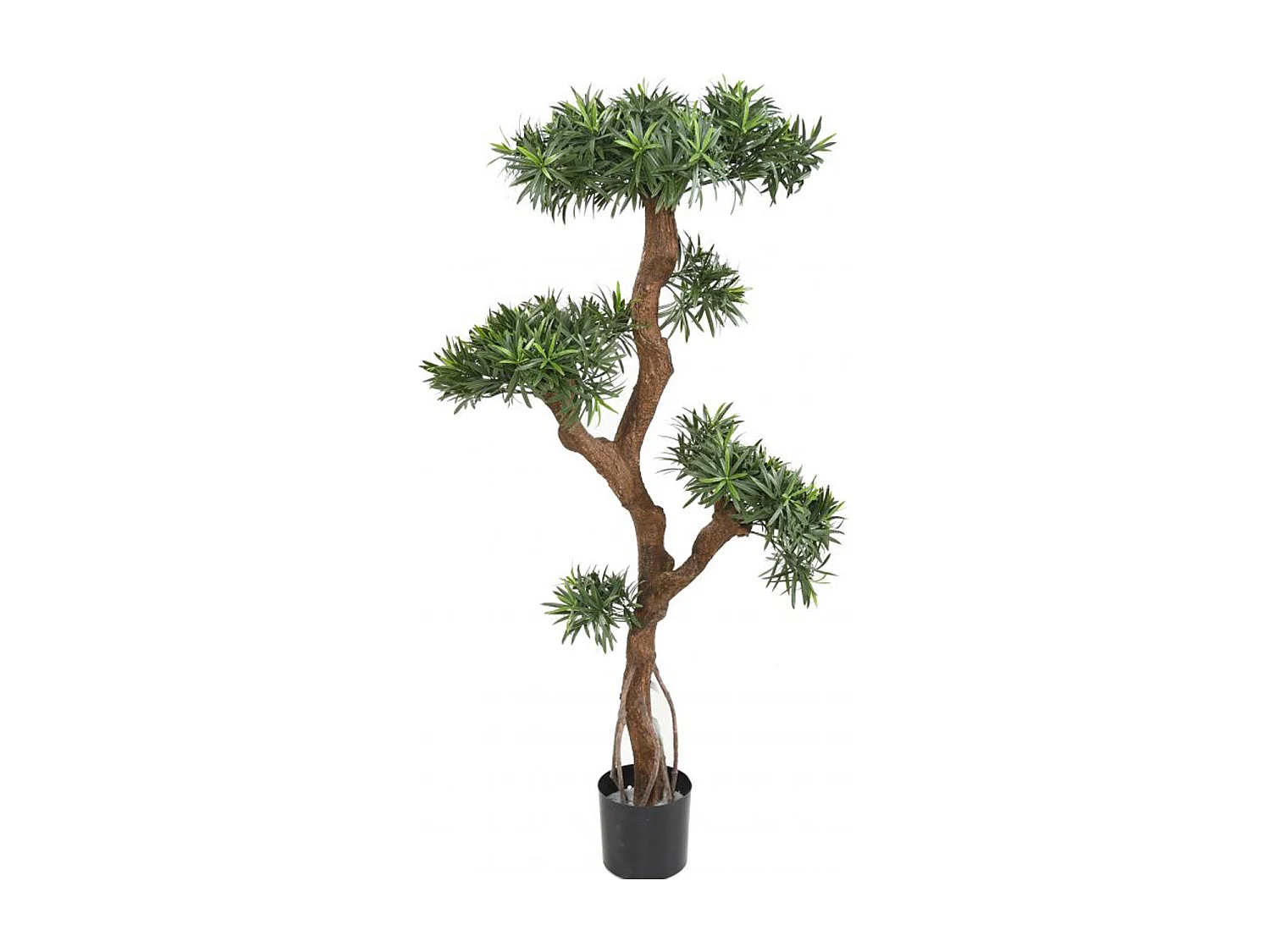 Plante artificielle haute gamme Spécial extérieur / Podocarpus artificiel - Dim : 135 x 80 cm