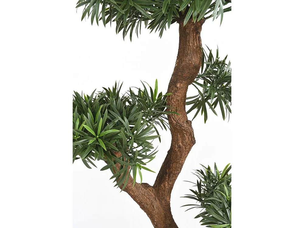 Plante artificielle haute gamme Spécial extérieur / Podocarpus artificiel - Dim : 135 x 80 cm