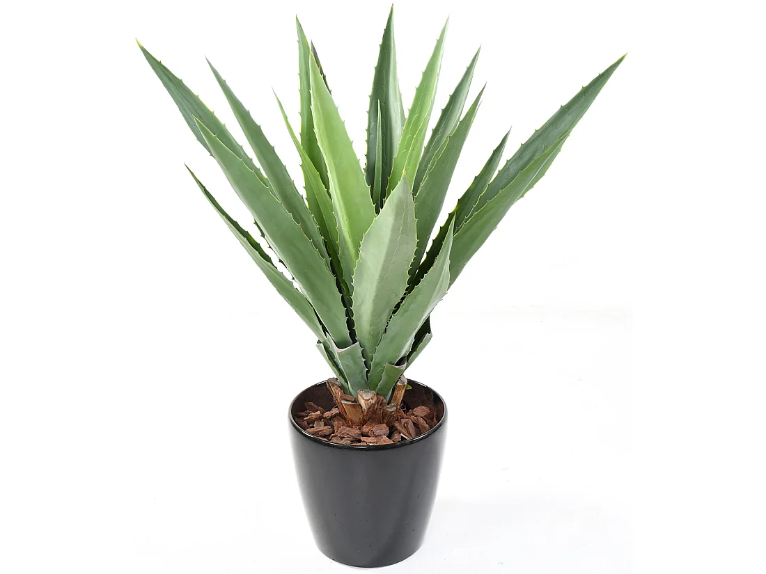 Plante artificielle haute gamme Spécial extérieur / AGAVE FURCRAEA artificielle - Dim : 110 x 90 cm