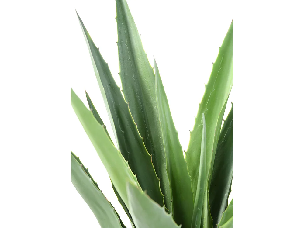 Plante artificielle haute gamme Spécial extérieur / AGAVE FURCRAEA artificielle - Dim : 110 x 90 cm